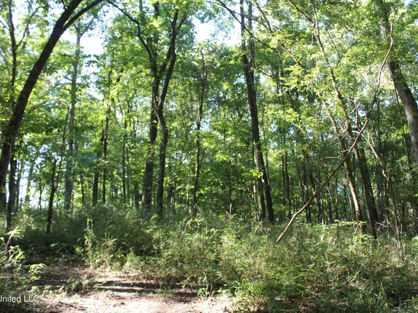 8420 Milne Way, Hernando, MS 38632