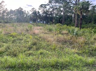 2117 Moore Ave, Alva, FL 33920