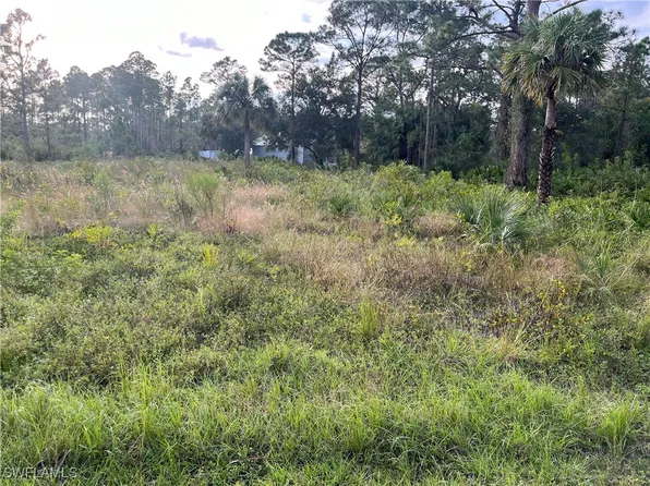 2117 Moore Ave, Alva, FL 33920