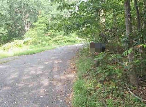 5th image of 161 New Brooklyn Rd