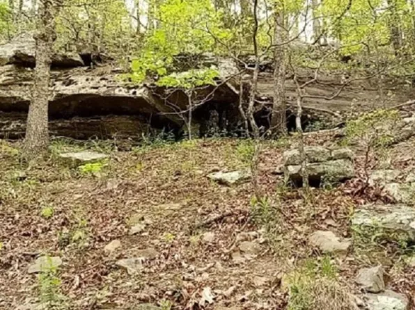 (undisclosed Address), Witts Springs, AR 72686