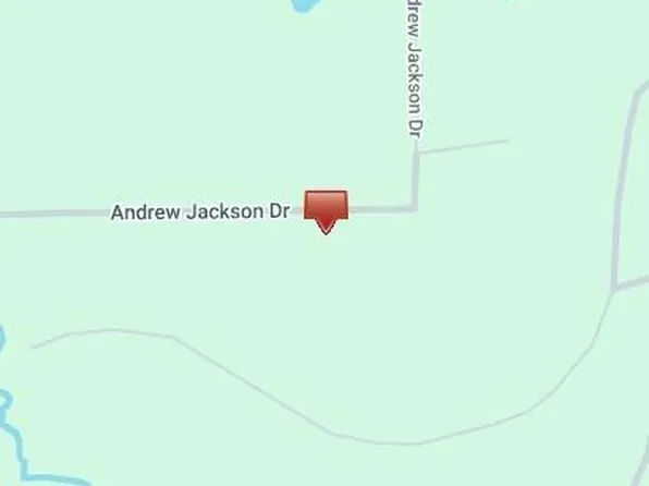 Andrew Jackson Dr, Livingston, TX 77351
