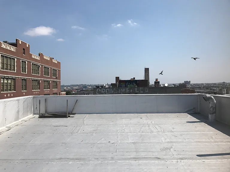 222 Bushwick Ave #4R — Photo 7