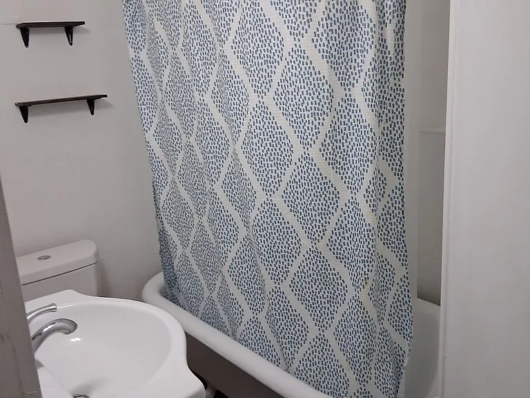 11 Riberia St #3 — Photo 38