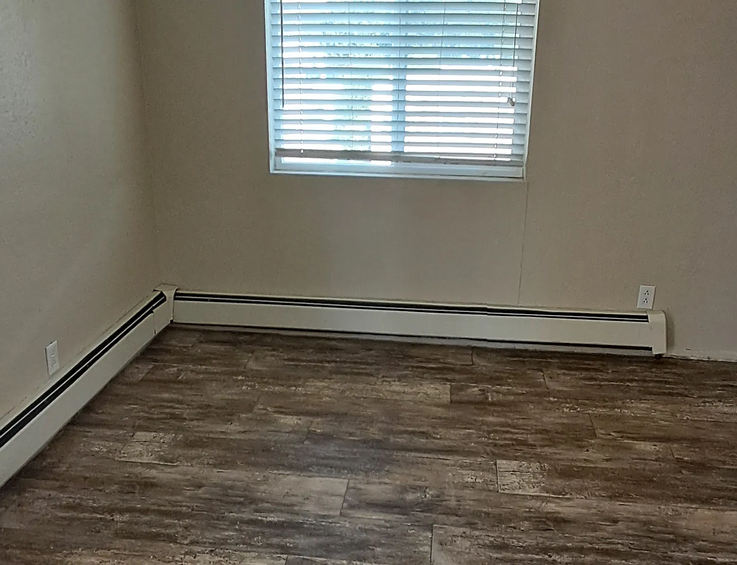 2 bed, 800 sqft, $1,350 — Photo 3