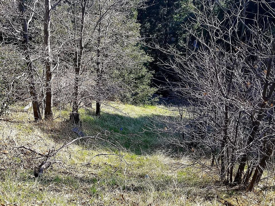 1st image of Pine Dr