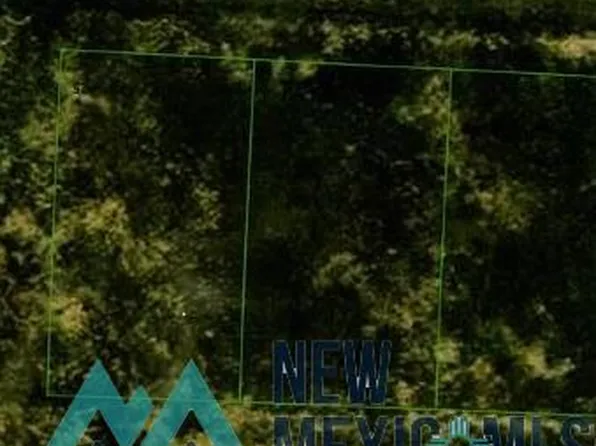 S Tatum Addition, Caprock, NM 88213