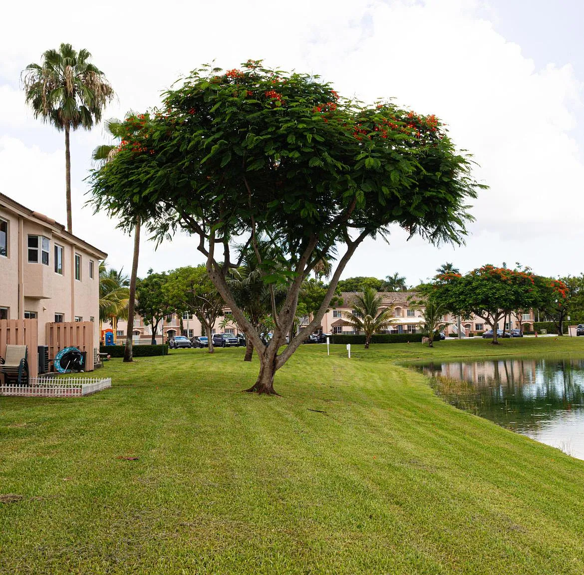 3 bed, 1009 sqft, $1,850 — Photo 1