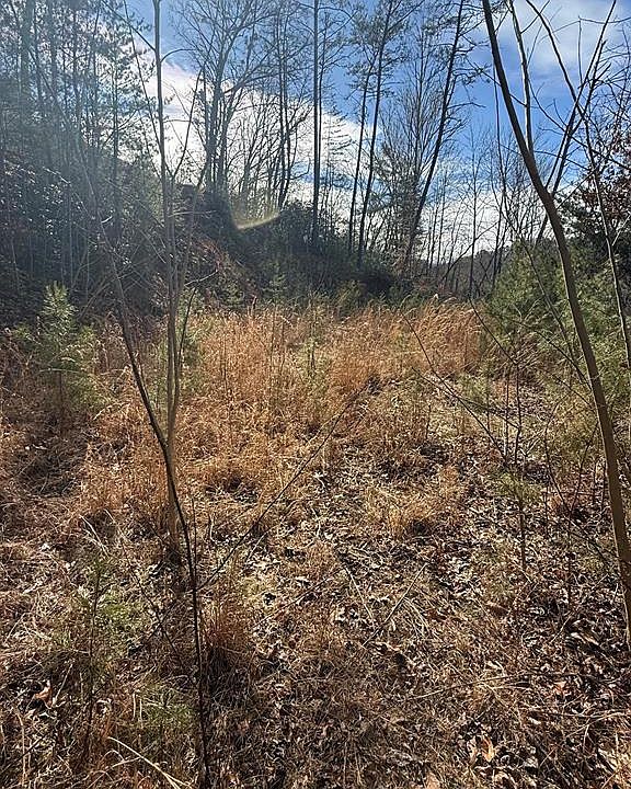 1st image of 0 Back Of Beyond Rd