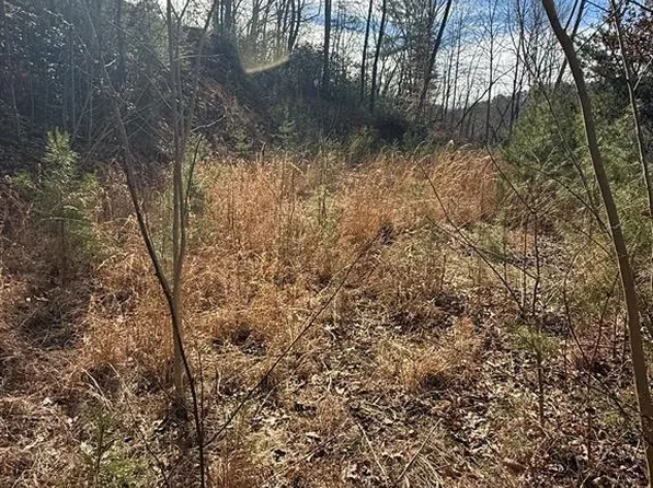 0 Back Of Beyond Rd, Bryson City, NC 28713