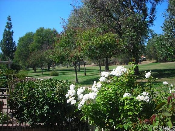 4th image of 1531 Upland Hills Dr #N