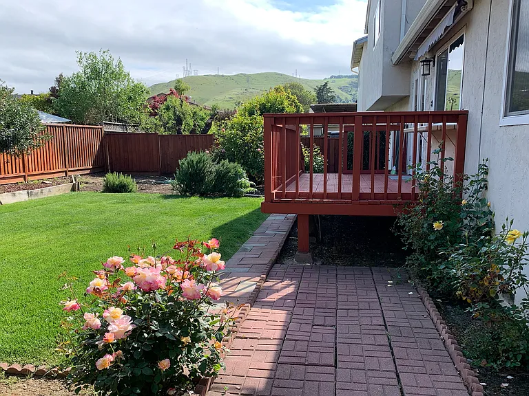 Purple Glen Dr — Photo 21