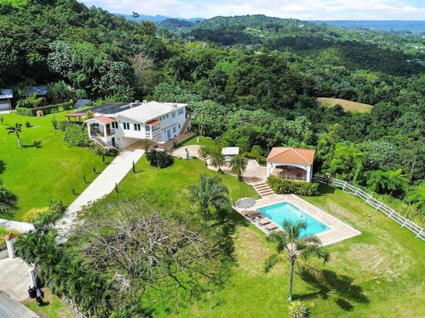 Km 7.1 Int Carr #618, Corozal, PR 00783