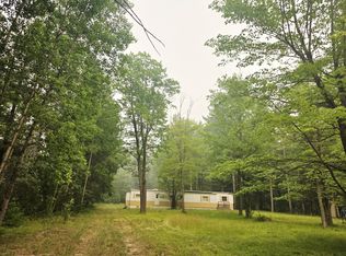 5260 Old 27 N, Frederic, MI 49733