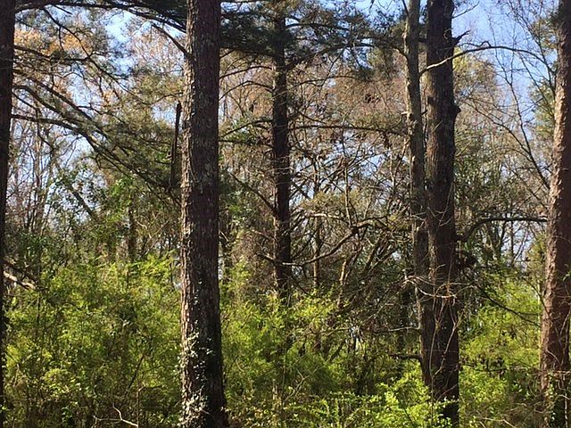 2nd image of 5570 Forsyth Rd