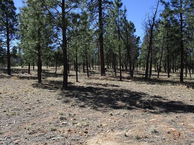 1st image of 2161 Pine Canyon Dr