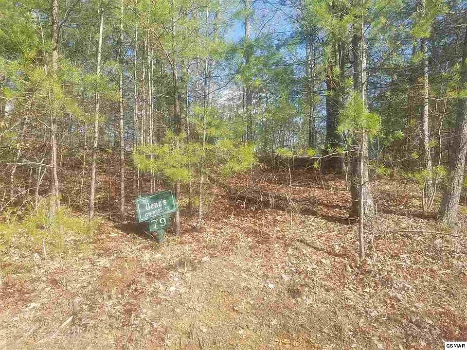2nd image of 79 Whetstone Rd Lot 79