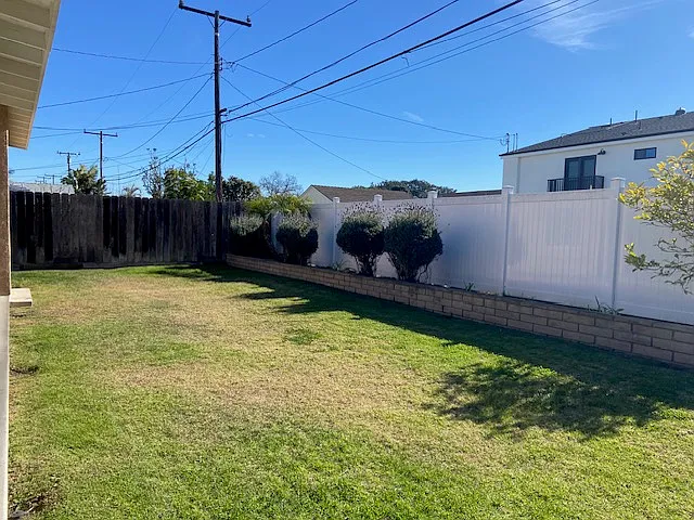 Backyard