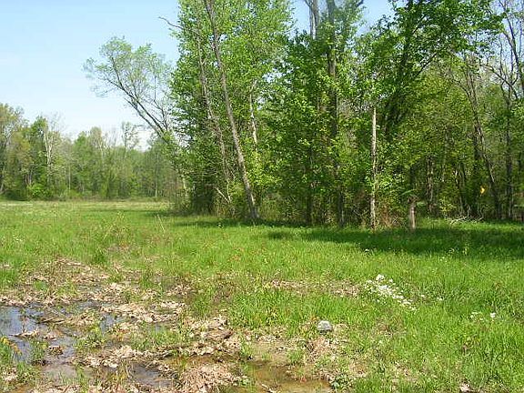 4th image of 0000 Highway 45 South