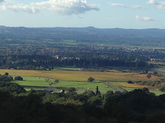 Sonoma Valley view from rhom