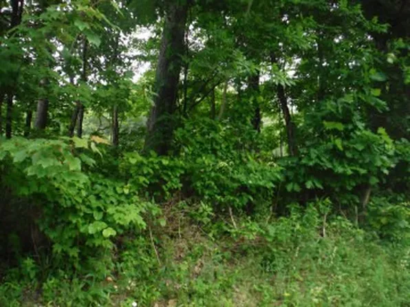 0 Route 259 Hwy #E/w, Blairsville, PA 15717