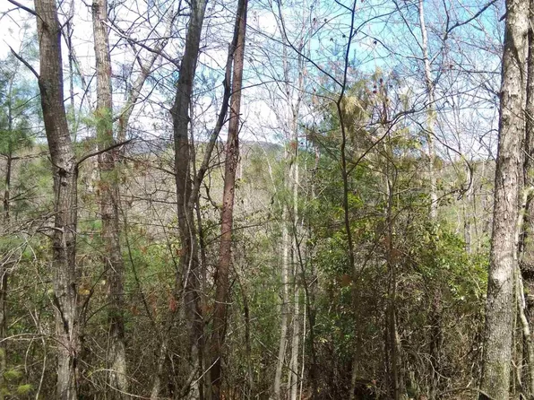 Mill Run, Sautee Nacoochee, GA 30571