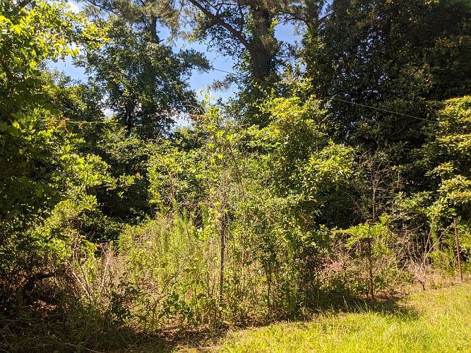 2nd image of 4456 Forest Rd
