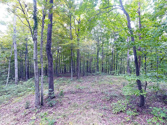 2nd image of LOT 73 Cumberland Xing