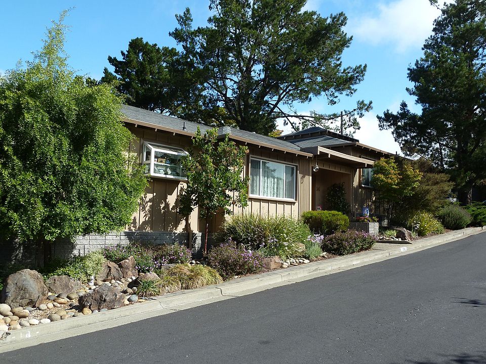 14 Estates is set among pine, cypress, mayten & maple trees.