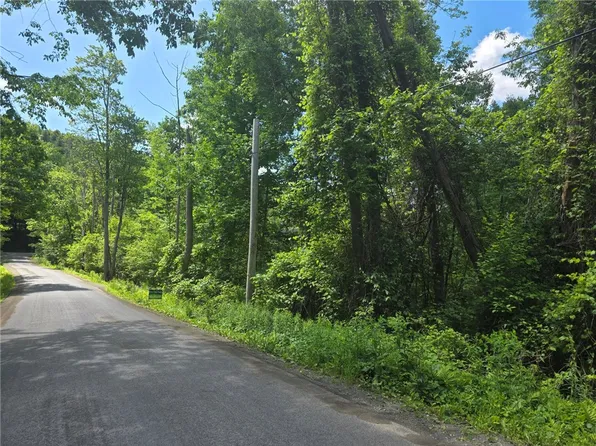 Lippitt Development Rd Lot 44, Cooperstown, NY 13326