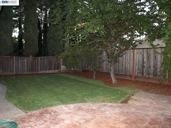 Great backyard