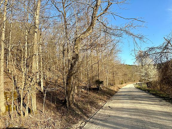 3rd image of 000 Brown Road Lot
