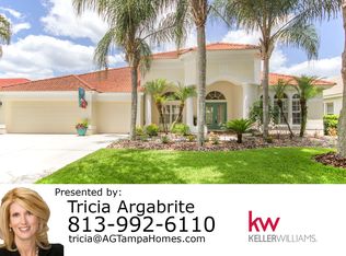 10208 Waterside Oaks Dr, Tampa, FL 33647