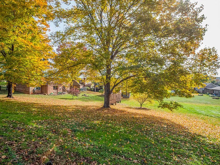 3924 Arline Dr — Photo 60