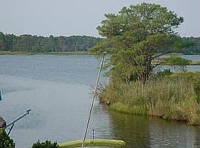 3rd image of 37850 Swann Dr
