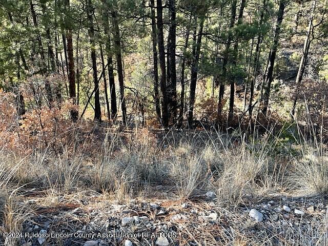 2nd image of L15-16 Miles Loop