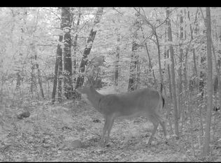 22903 Waterwheel Rd, Pierson, MI 49339