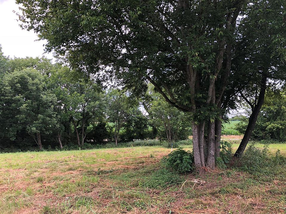 2nd image of 897 Douglas Ln Lot 2