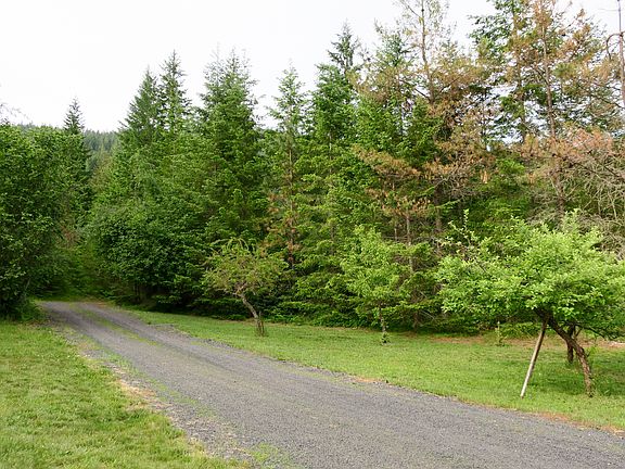 Apple, pear, and plum trees