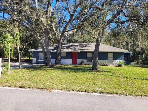 3825 Holly Ct, Mount Dora, FL 32757