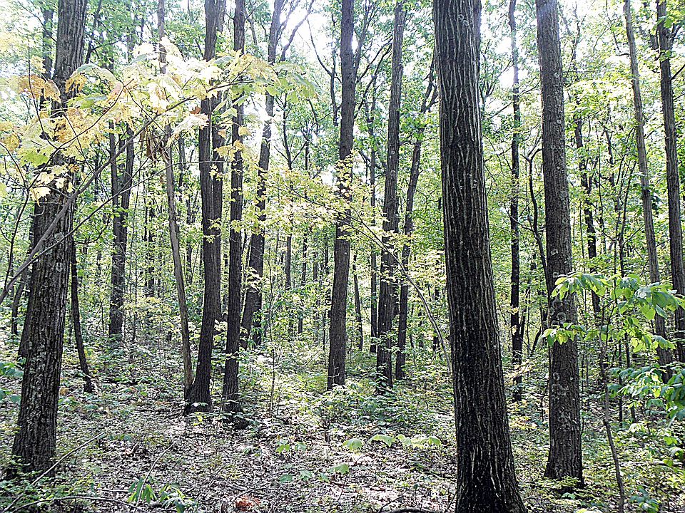 1st image of 0 Columbia Hill Road