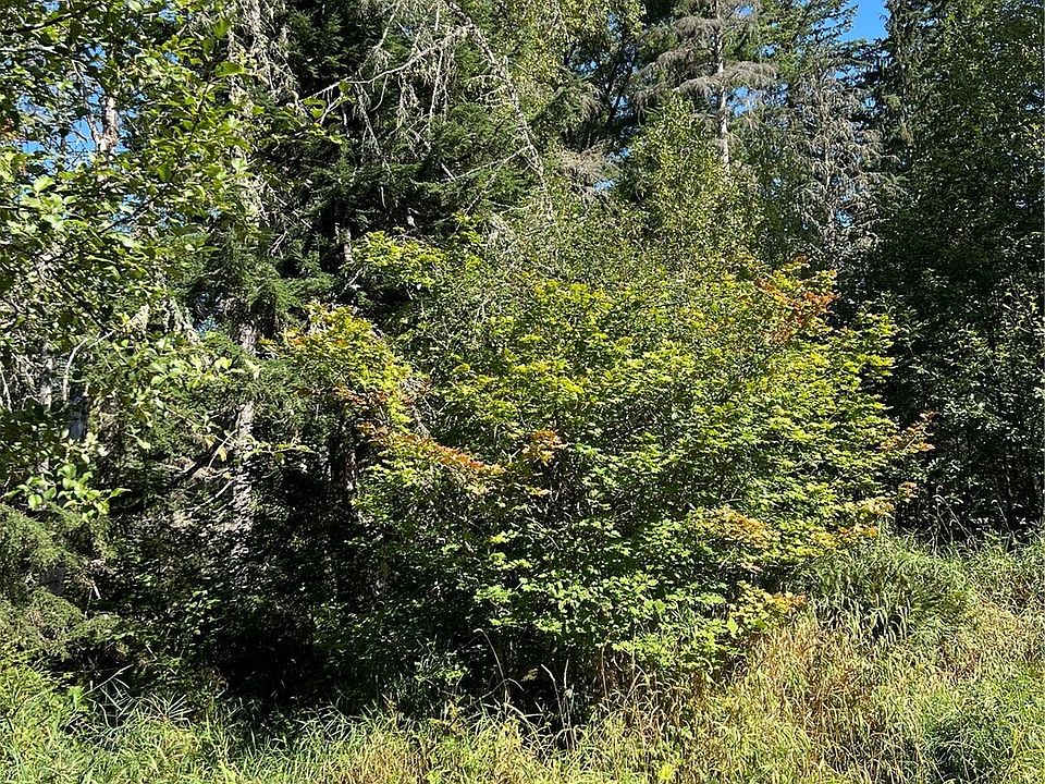 2nd image of 0 Cascade Lane