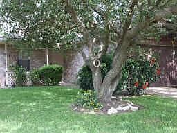1st image of 17007 Tranquil Dr