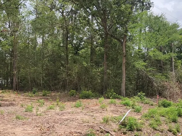 10-B53 Sweetleaf Ln, Plantersville, TX 77363