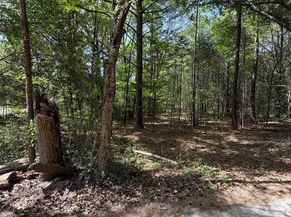 0 William Stevenson Rd, Richburg, SC 29729