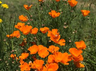 10673 Hearst Willits Rd, Willits, CA 95490