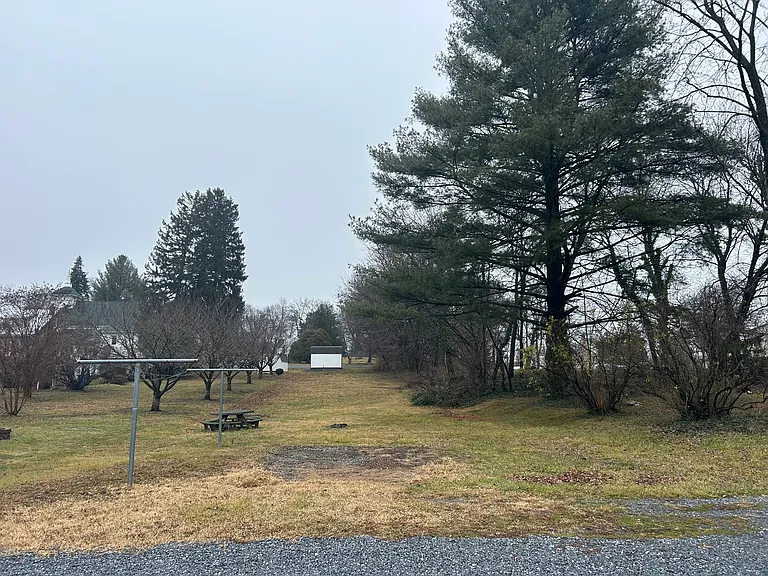Shared rear yard
