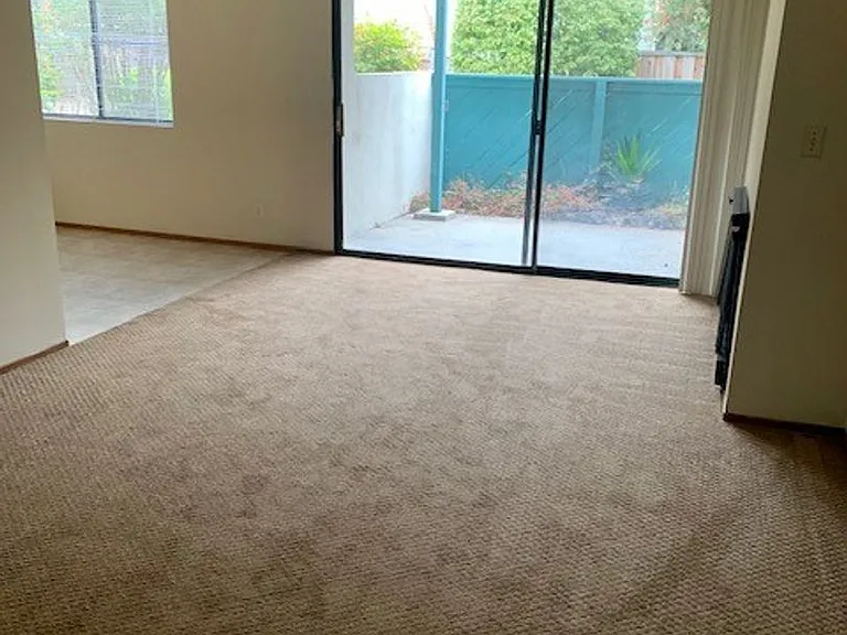 180 Searidge Ct — Photo 1