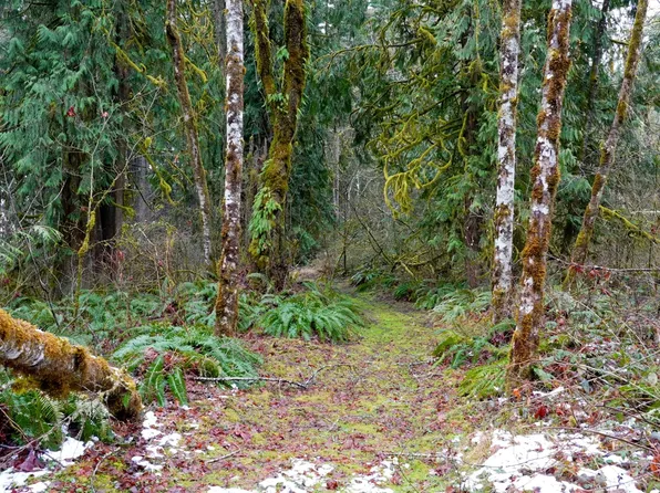 NE Bonanza Rd, Brush Prairie, WA 98606