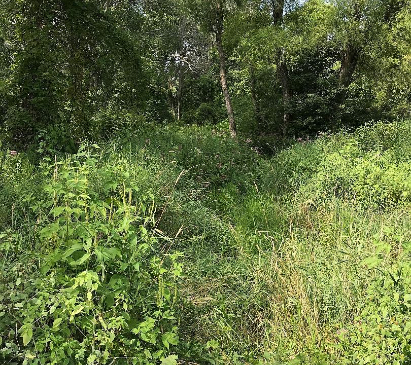 2nd image of Tesnow Rd